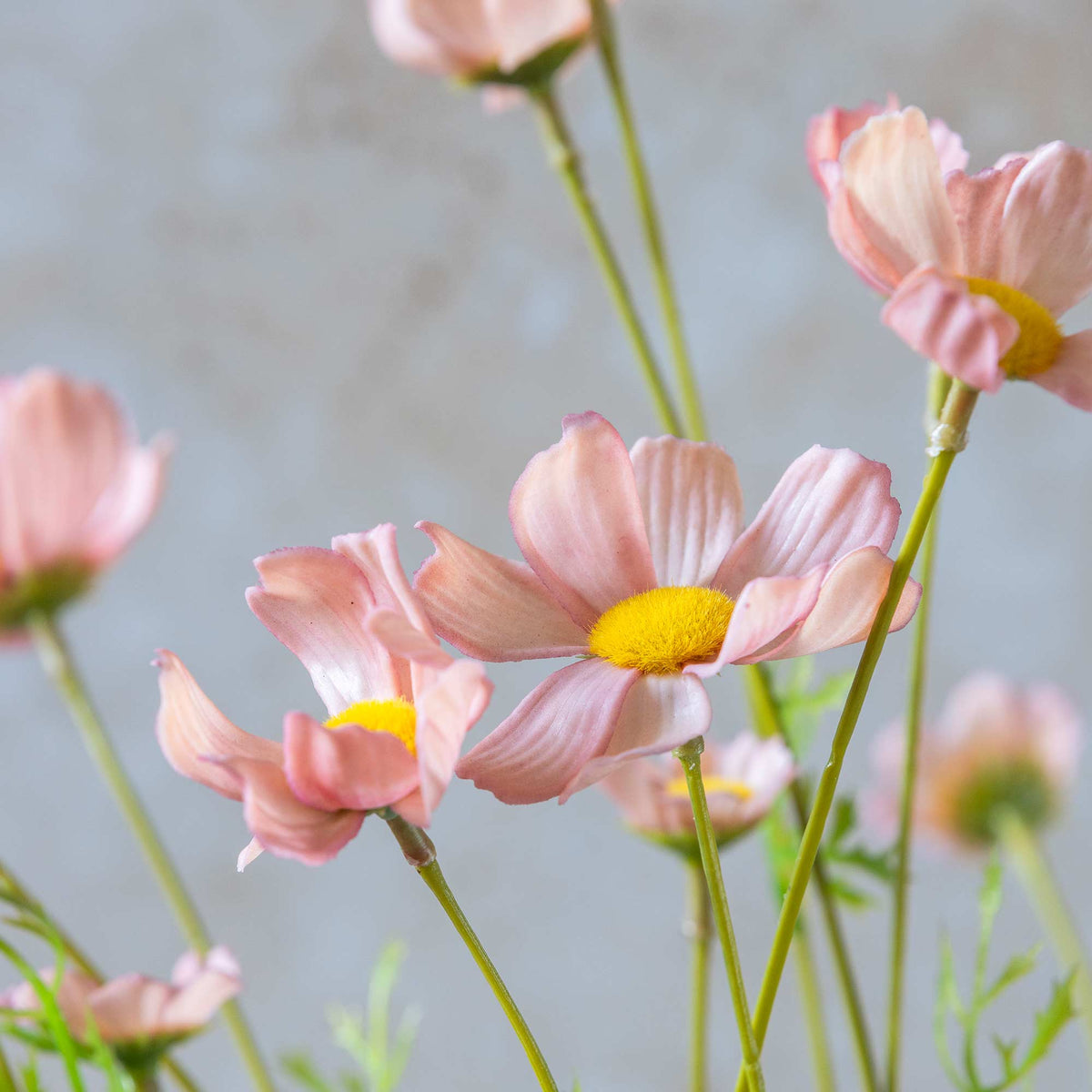 Artificial Cosmos Meadow, Soft Pink - Set of 3