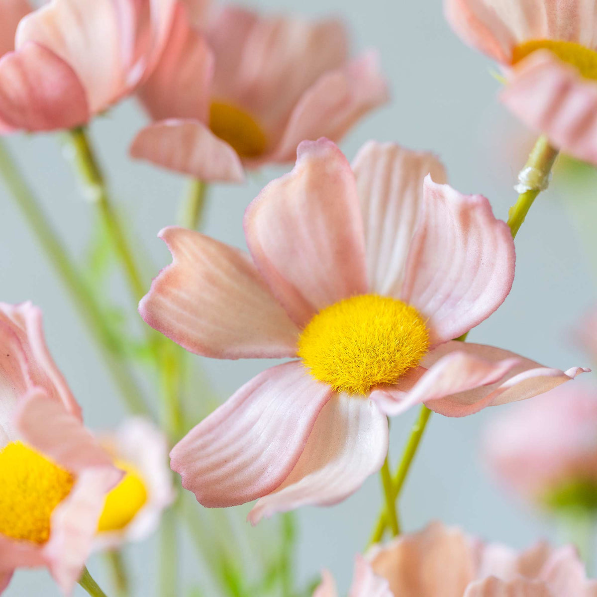 Artificial Cosmos Meadow, Soft Pink