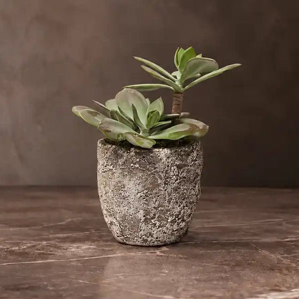 Artificial Echeveria Grus