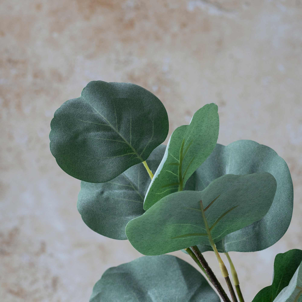 Artificial Eucalyptus Silver Dollar