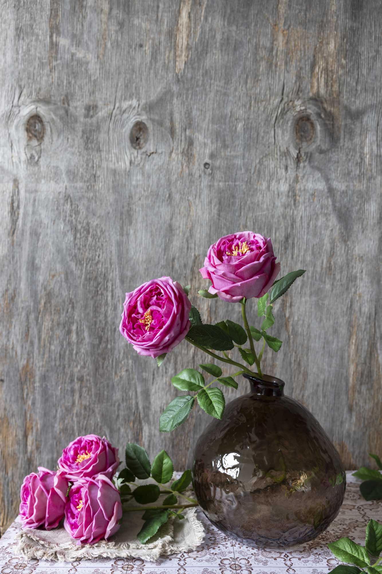 Artificial Real Touch Garden Rose, Mauve | Pink | Abigail Ahern
