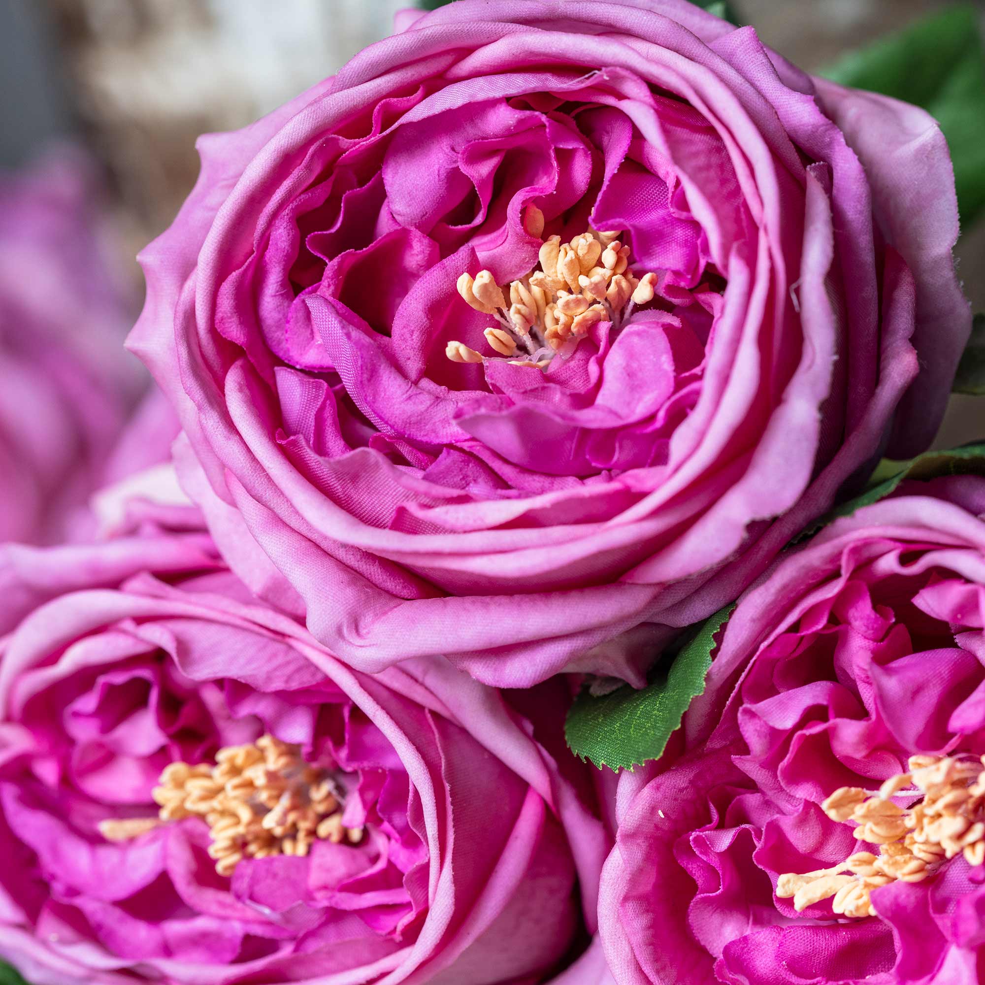Artificial Real Touch Garden Rose, Mauve | Pink | Abigail Ahern