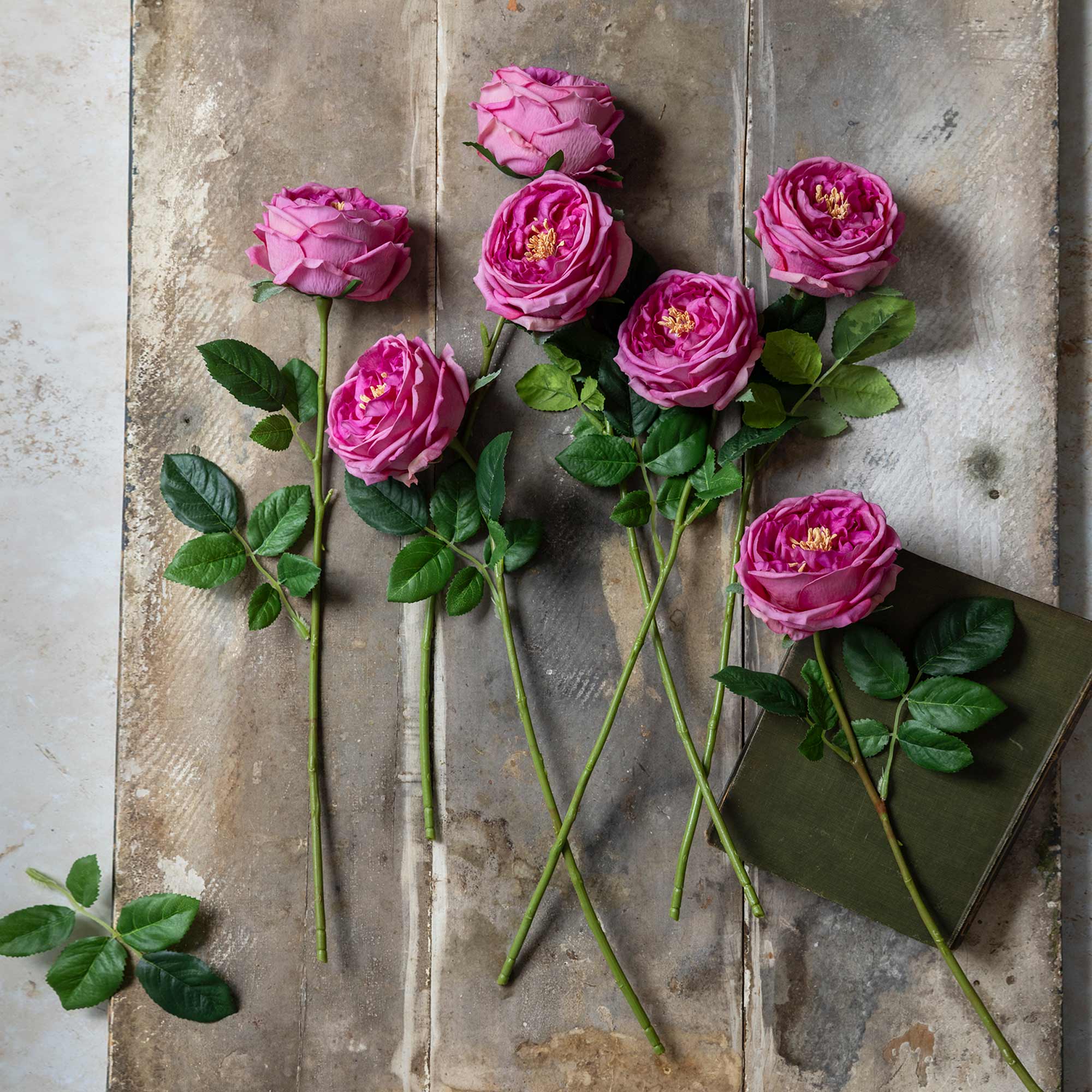 Artificial Real Touch Garden Rose, Mauve | Pink | Abigail Ahern