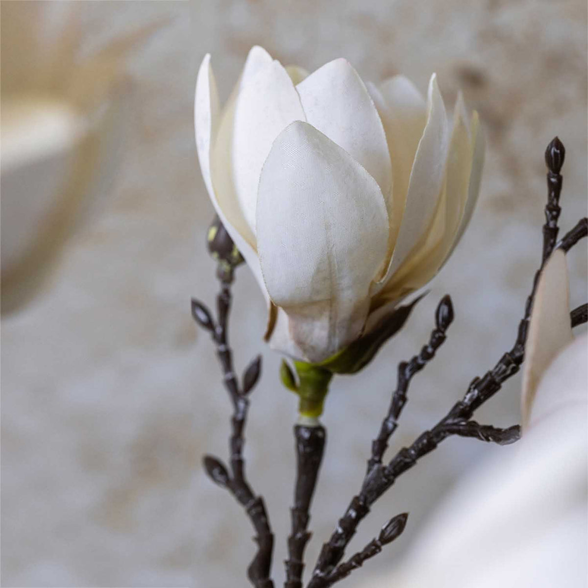 Artificial Magnolia