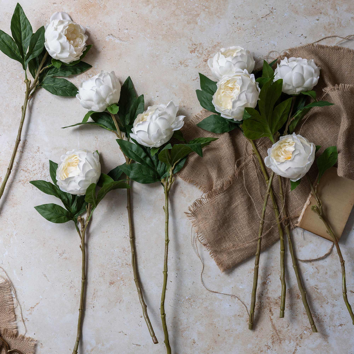 Artificial Real Touch Peony, White