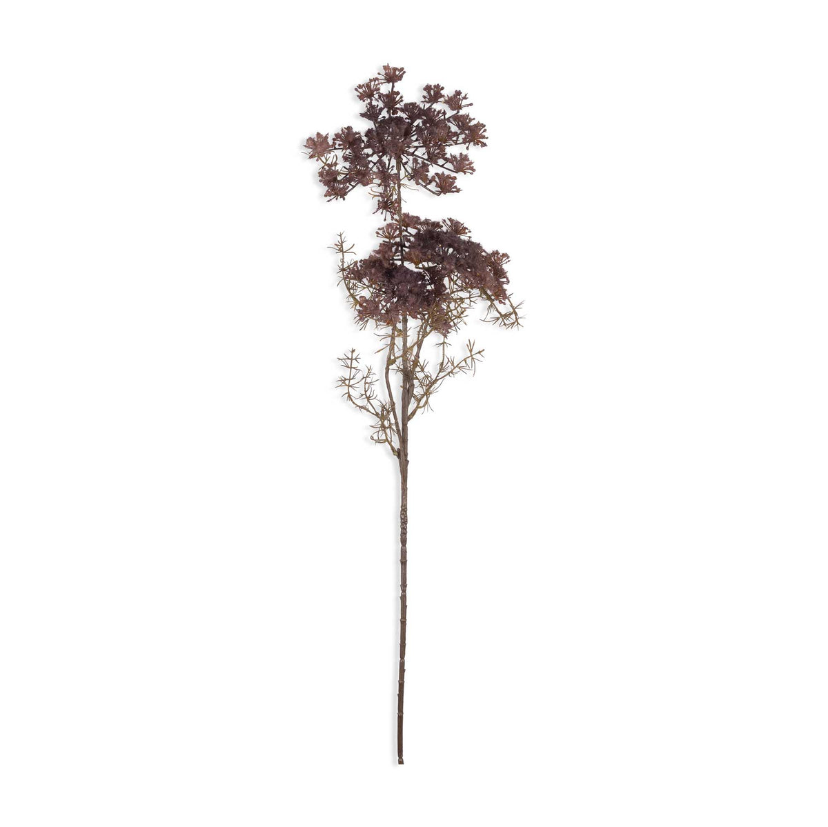 Artificial Queen Anne's Lace, Blush