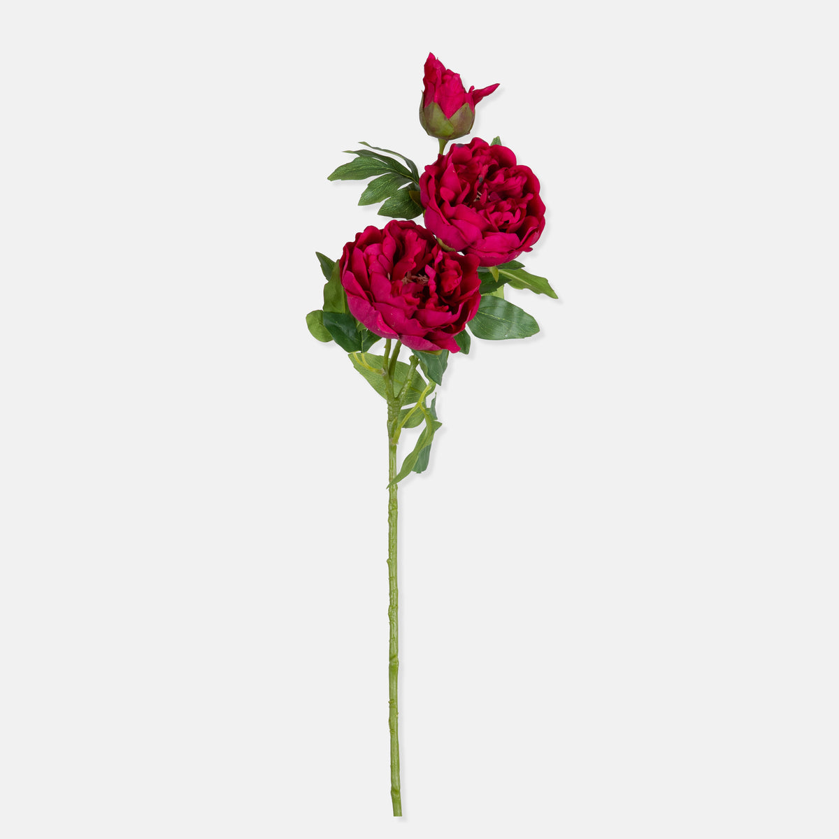 Artificial Real Touch Peony, Ruby