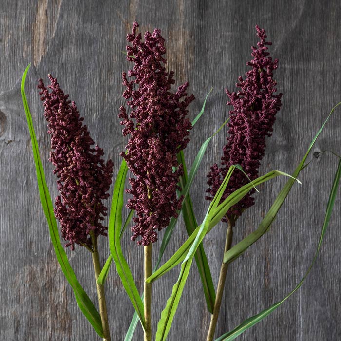 A few stems of artificial wetland heirloom, with green stems topped with deep purple textural heads.