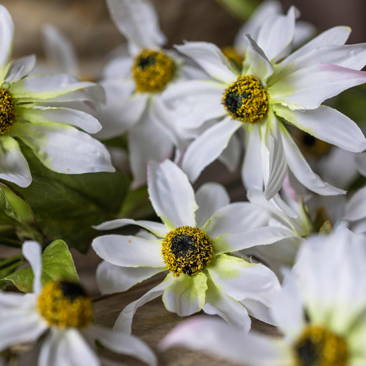 Artificial Wild Cosmos - Set of 3