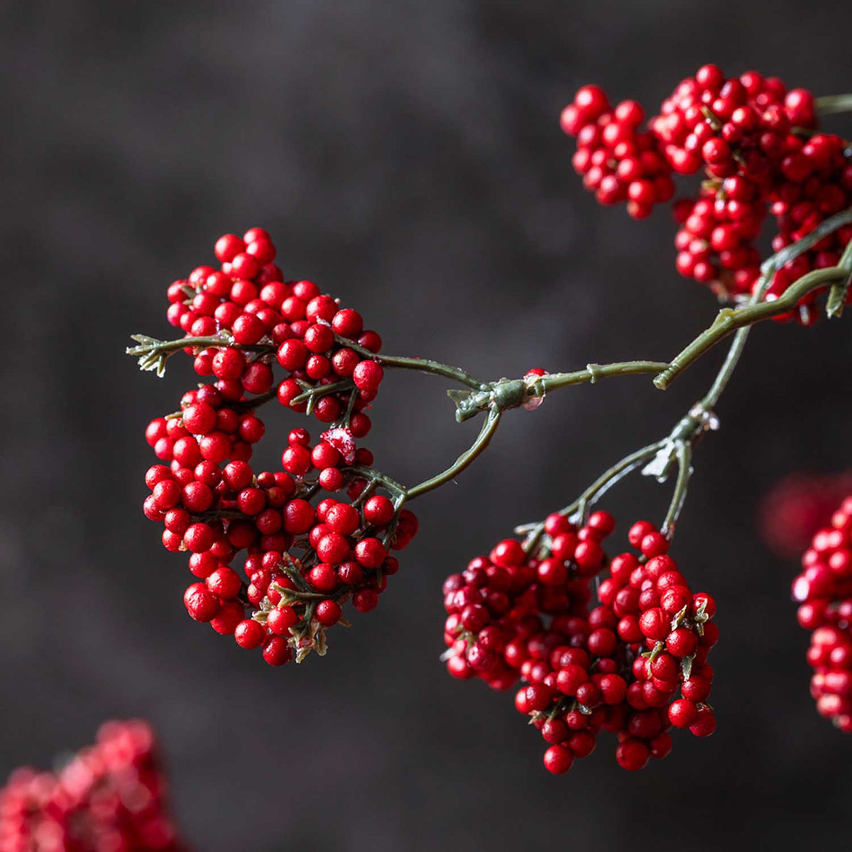 Artificial Wild Winter Berry, Ruby