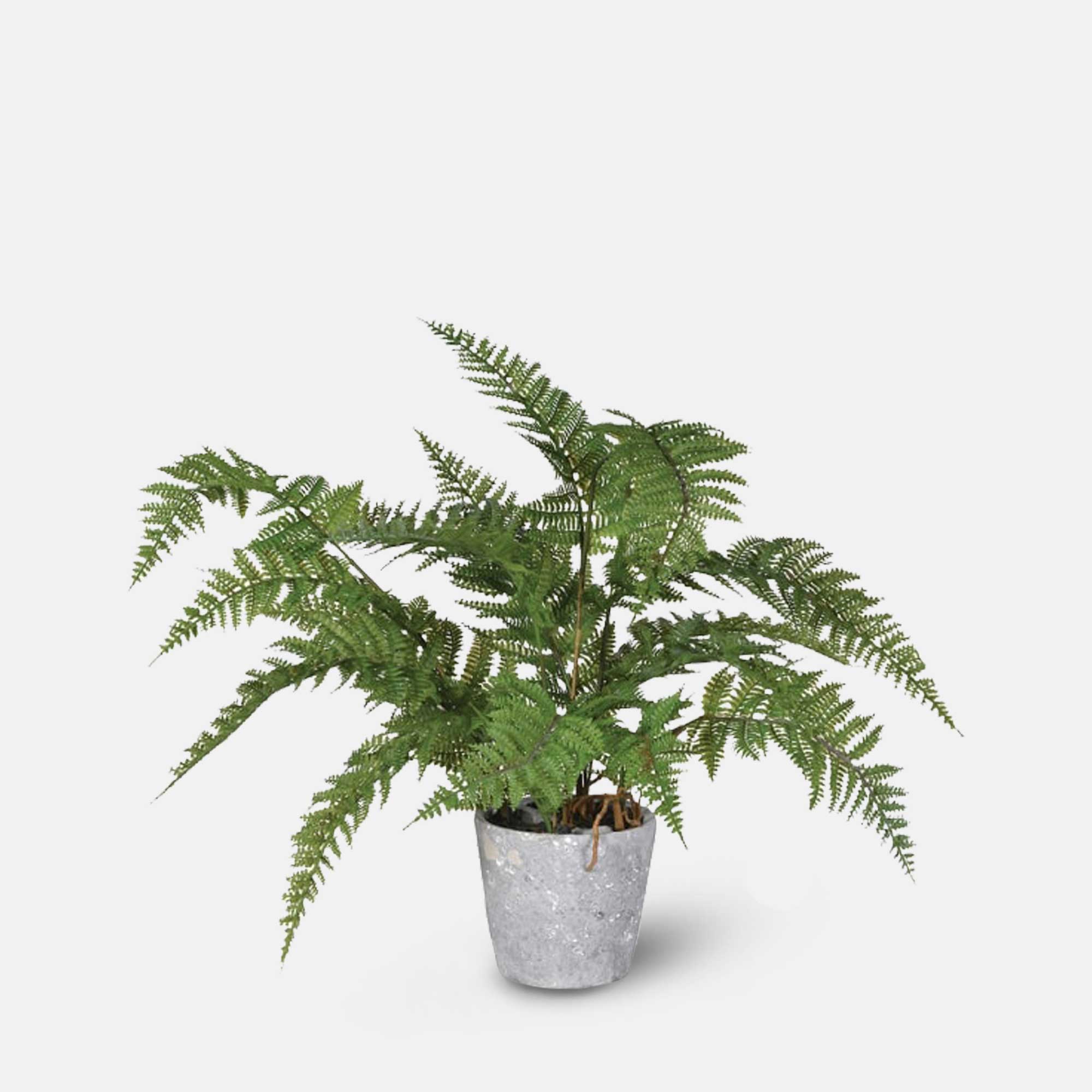 Artificial Bracken Fern | Faux Potted Plant | Green – Abigail Ahern
