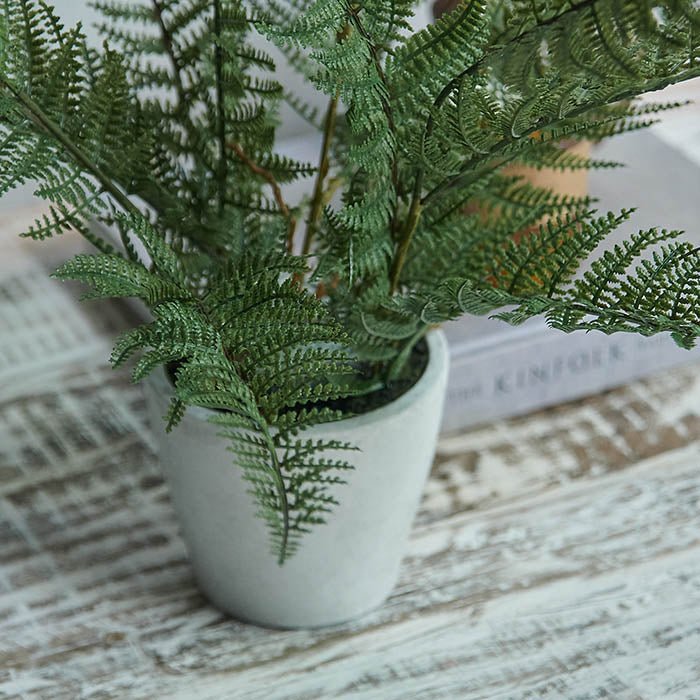 Artificial Bracken Fern | Faux Potted Plant | Green – Abigail Ahern