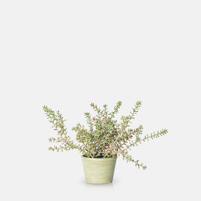 Artificial Burrito Sedum in Pot