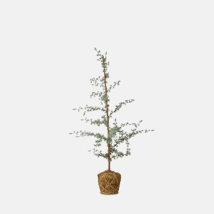Artificial Cane Tree