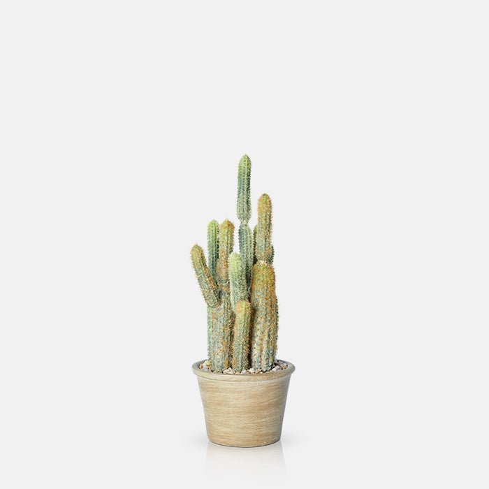 Cutout on a white background of a small faux cactus in a pot.