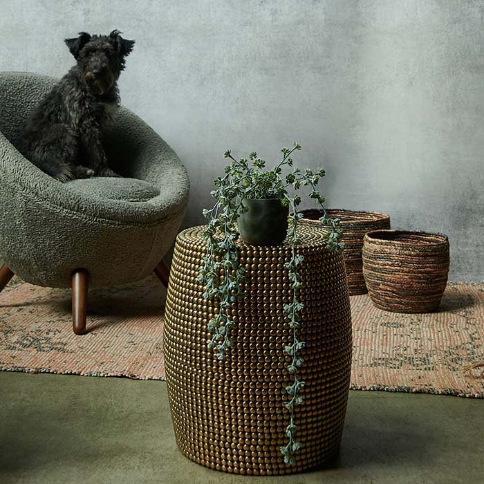 The Dewitt Brass Stud Stool, a tall round stool covered entirely in small brass studs, styled with a faux trailing plant.