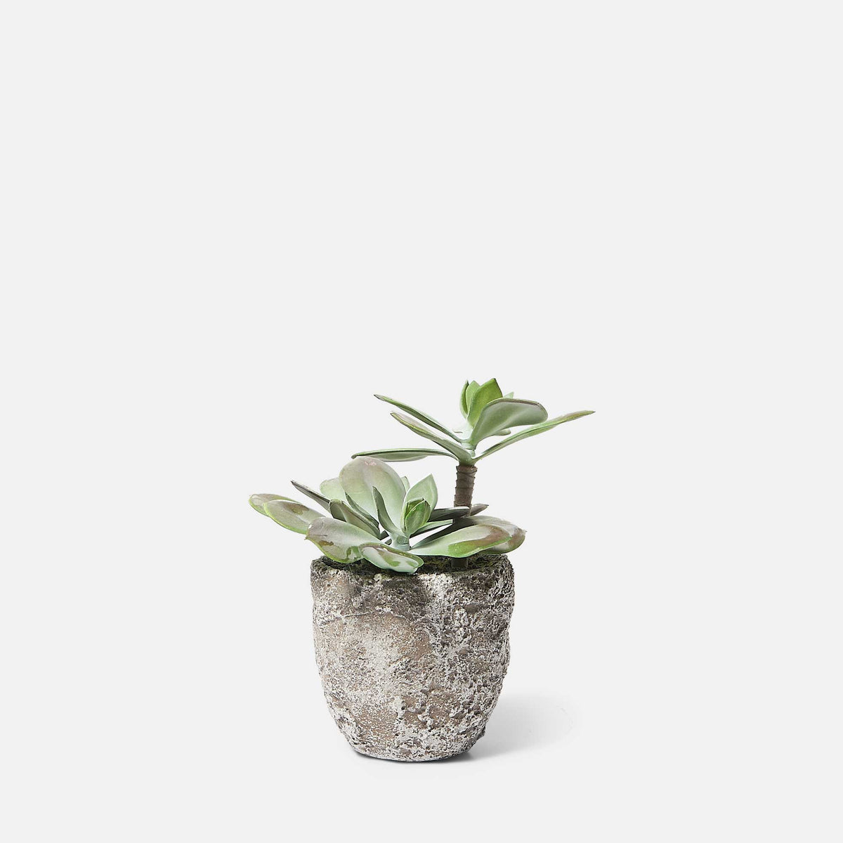 Artificial Echeveria Grus