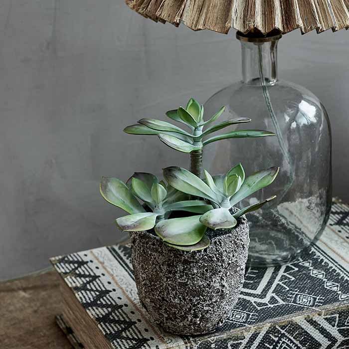 Artificial Echeveria Grus