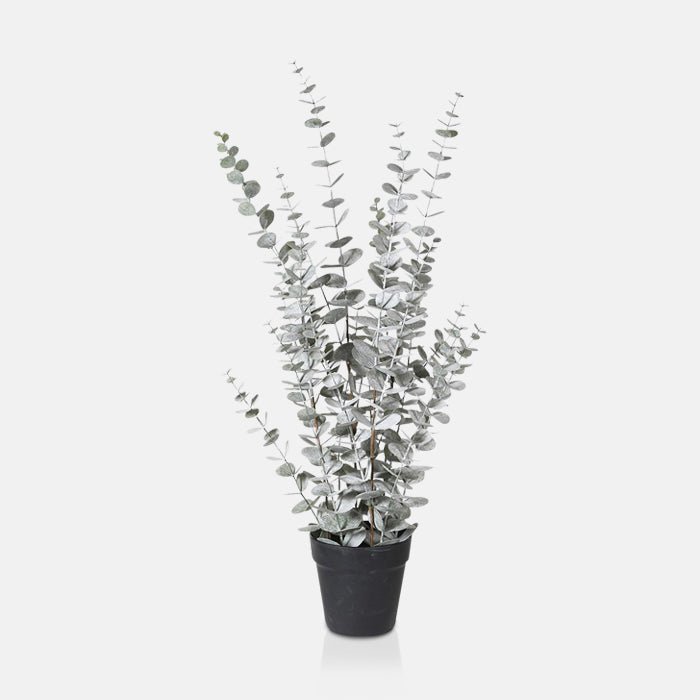 Tall silvery faux eucalyptus plant in a round black pot