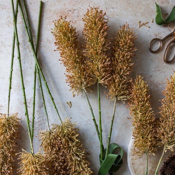 A few stems of artificial foxtail lily with brown textural heads lying on a table.
