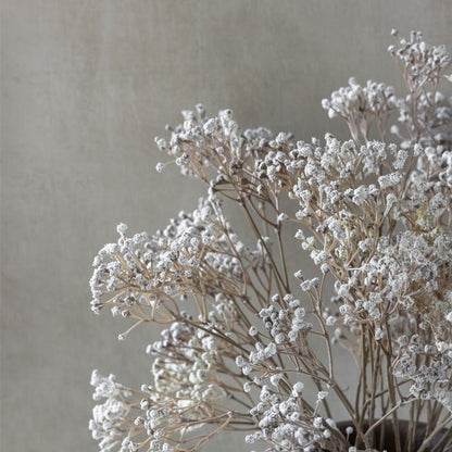 Close up image of premium faux Gypsophila with delicate white flower buds. A stunning artificial flower addition to any home, these floral bouquets look gorgeous in our textured vases with their lifelike appearance.