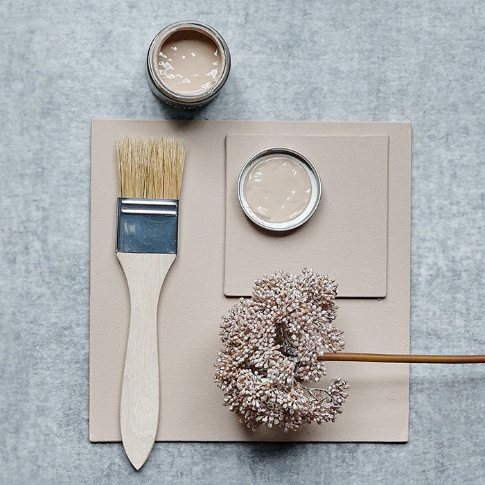 Large flatlay of a paint swatch in Haze luxury wall paint styled with a natural paintbrush and a faux botanical.