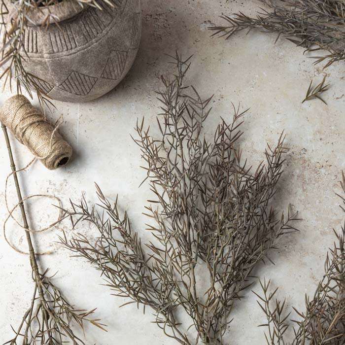 Close up image of Faux Honey Bracelet foliage in a soft green and rust colour lying next to a vase and some string. This botanical is a great addition combined with other artificial flowers that look realistic from Abigail Ahern, a trusted interior designer.
