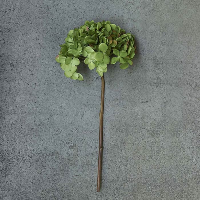 Artificial hydrangea green faux fake flower stem single botanical realistic home decor Abigail Ahern