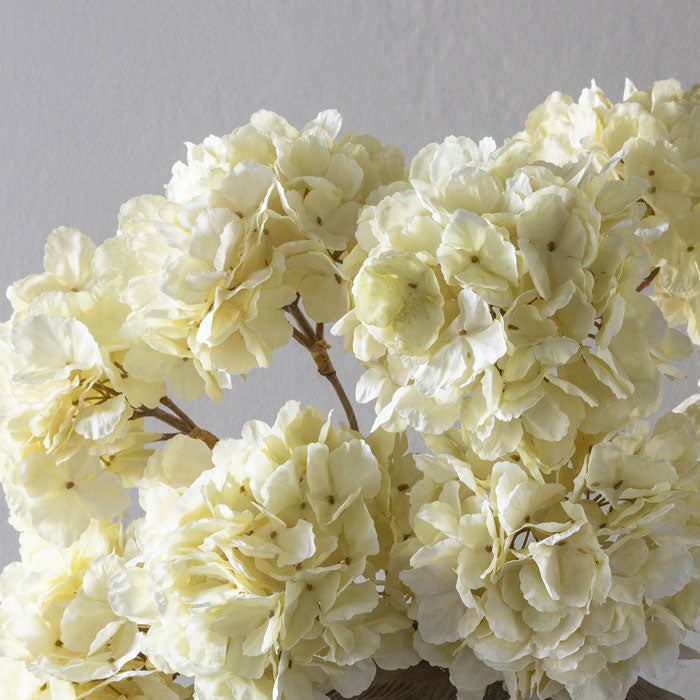 Close image of a floral arrangement of artificial Hydrangeas in a soft cream colour.