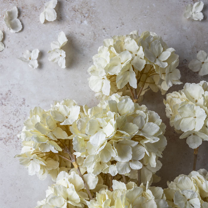 Image of cream coloured artificial hydrangeas lying on a table, a beautiful floral addition to make your space feel inviting.