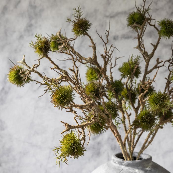 Artificial branches with clumps of faux green moss on the stems.