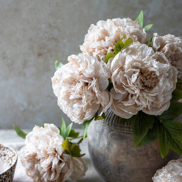 Artificial Peony Evening Dew | Faux Flowers | Cream – Abigail Ahern