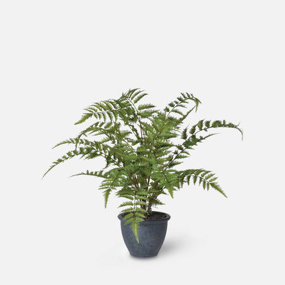 Artificial green fern plant in grey pot.