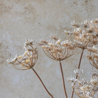 Close up image of the stems of the faux queen anne's lace stems. These luxury fake flowers have a really interesting texture.
