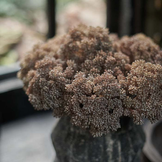 Artificial pink-brown sedum stems arranged in a faux bouquet.