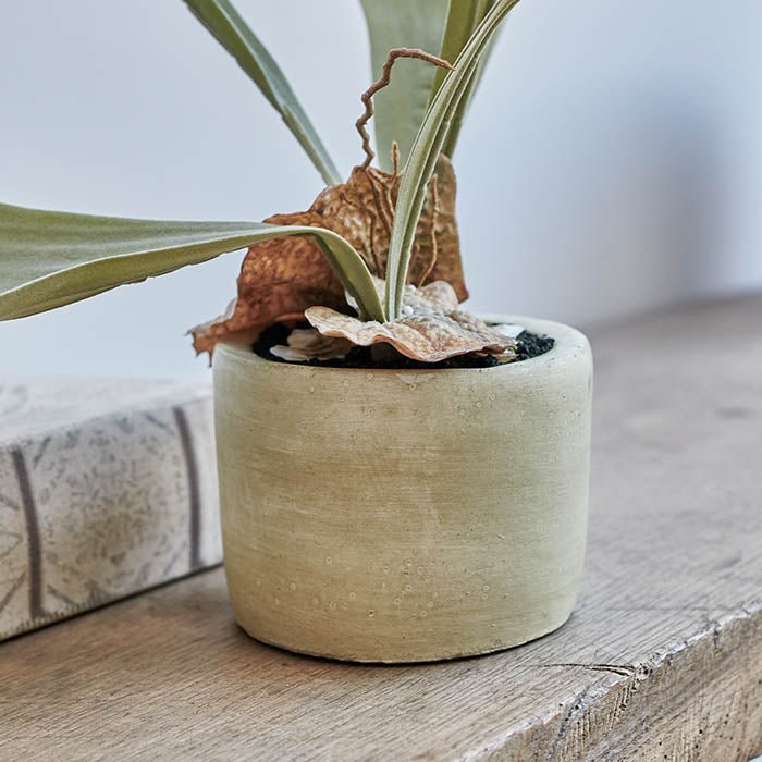 Artificial Staghorn Plant