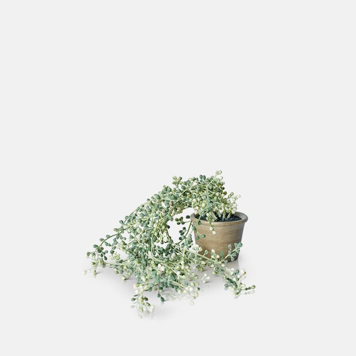 Cutout on a white background of a small artificial succulent with trailing strings.