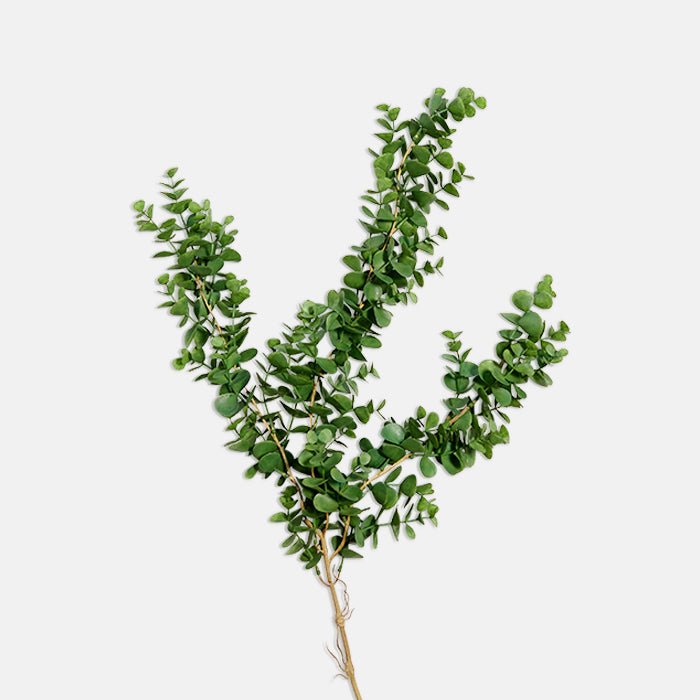 Artificial eucalyptus bush trailing green faux fake foliage cutout botanical realistic Abigail Ahern