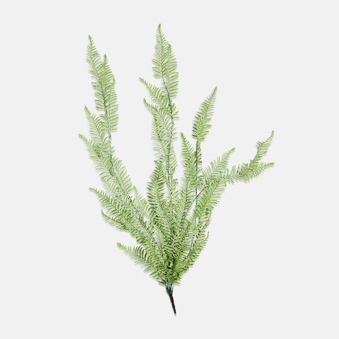 Cutout on a white background of a stem of faux green fern foliage.
