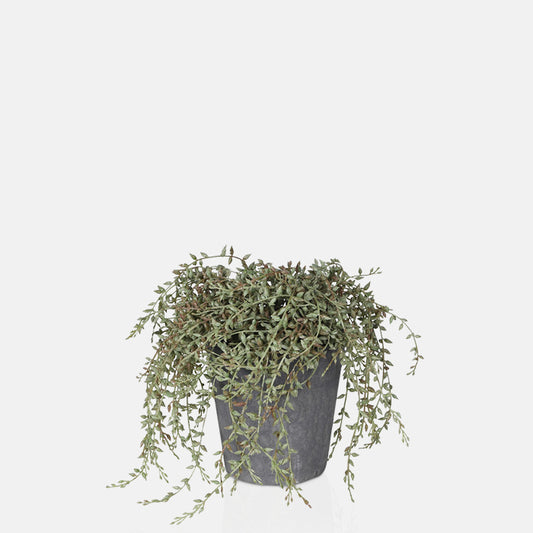 Tall grey plant pot with multiple artificial leaves trailing out over its edge