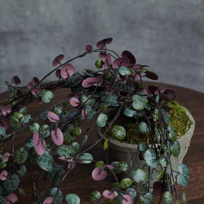 Artificial string of hearts plant with round green and purple leaves in a grey pot