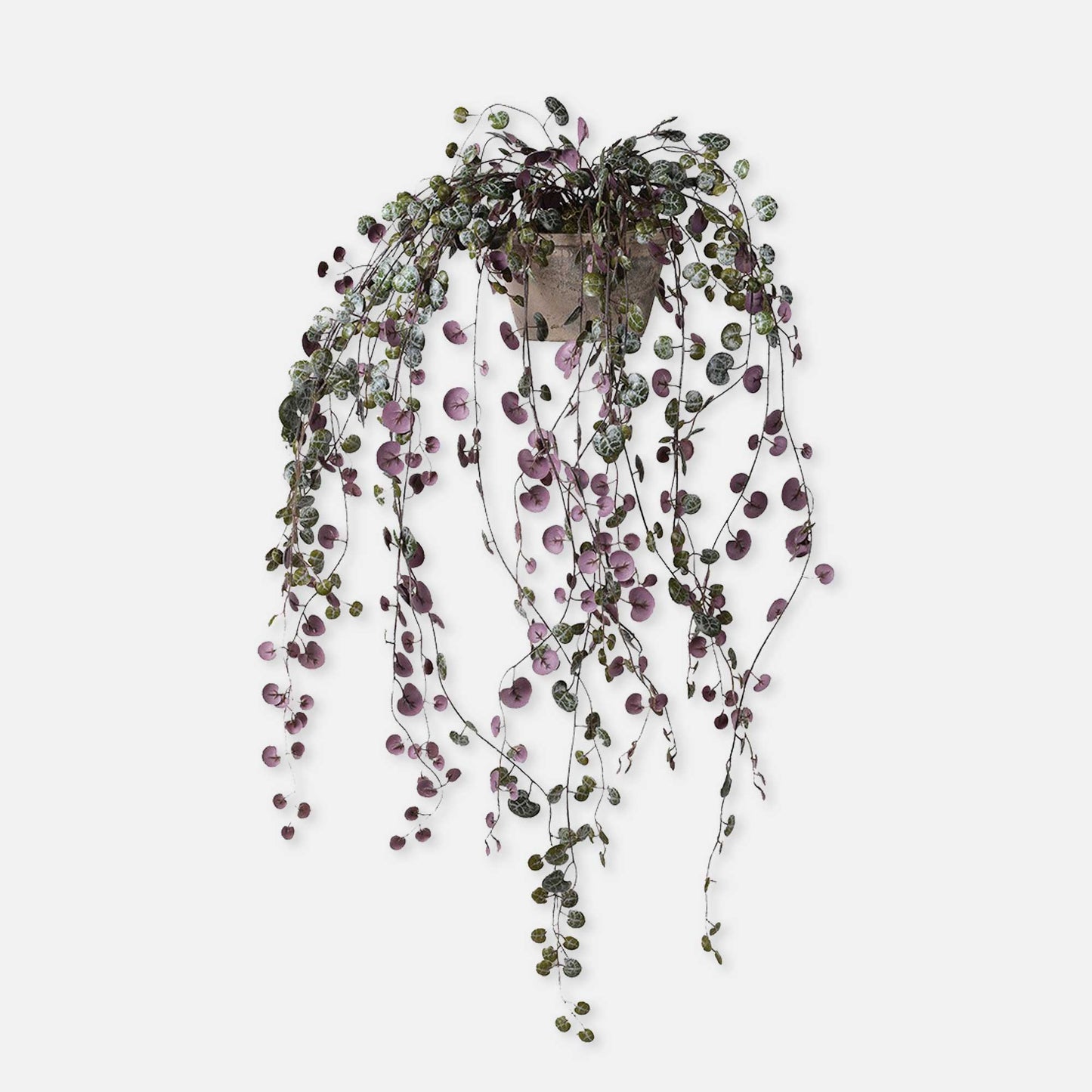 Artificial string of hearts plant, with purple and green leaves, set in grey pot.