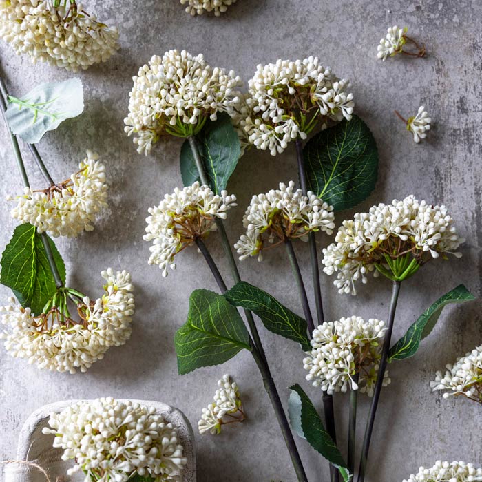 Several white viburnum bud stems with green leaves lying on a table.