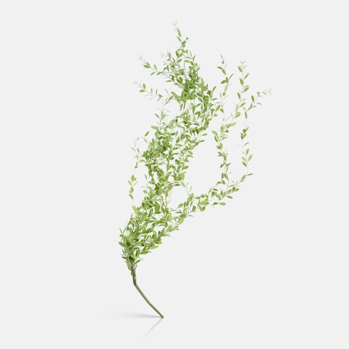 Cutout image on a white background of  a single stem of artificial weeping willow in a soft green colour.