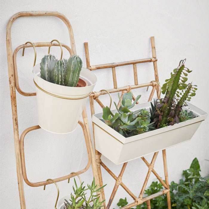 The Arden Bamboo Ladder, a small delicate ladder in light bamboo holding a white bucket containing a cactus.