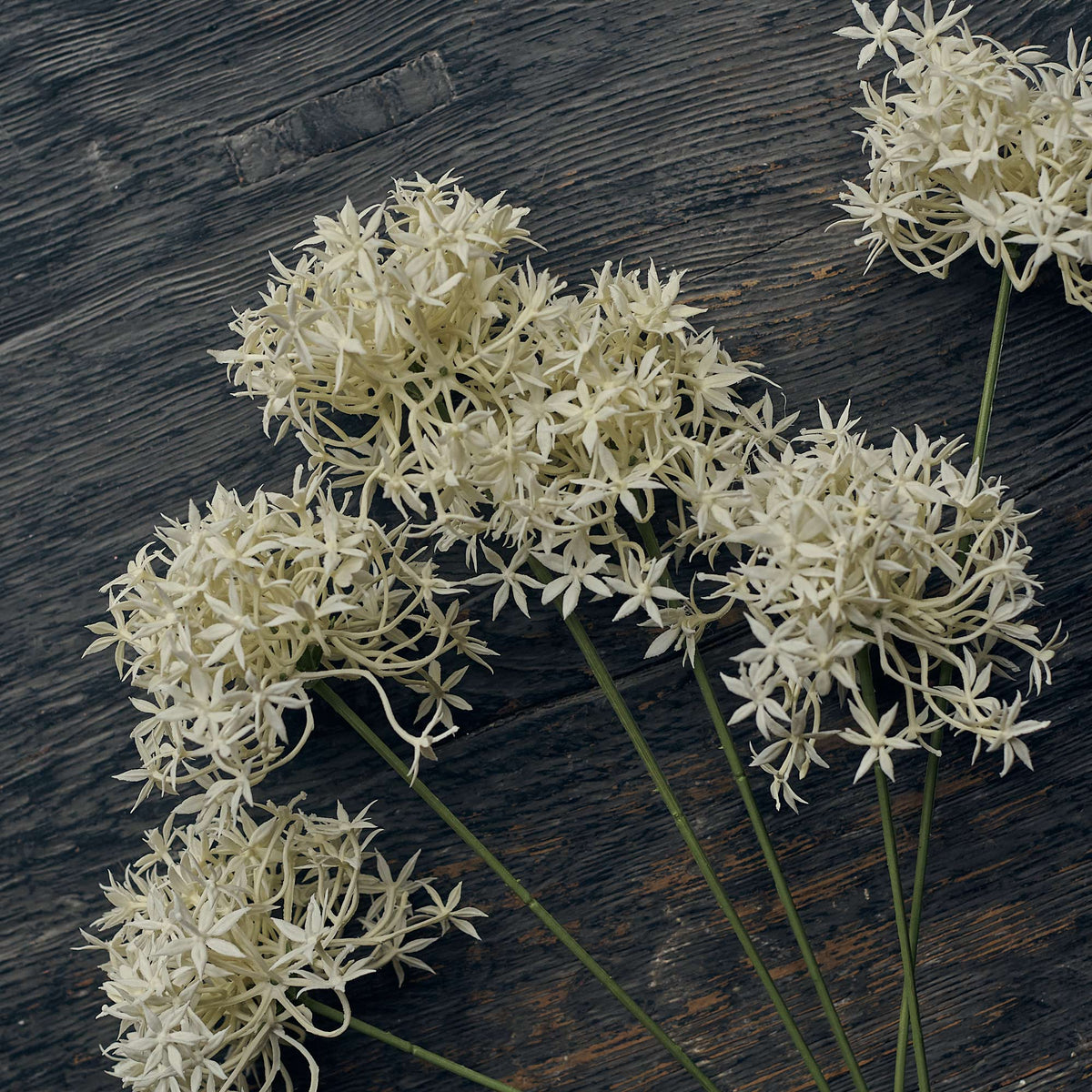 Artificial Allium Bunch, Cream