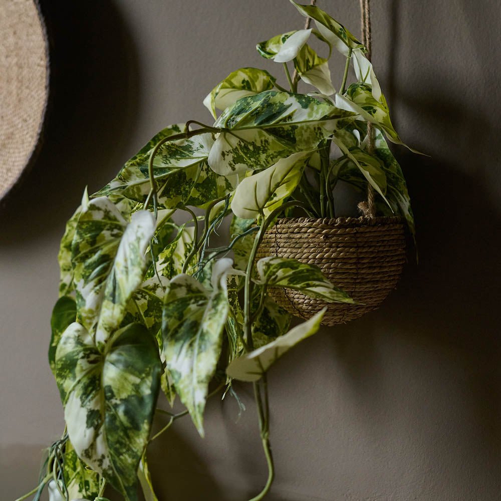 Artificial Anthurium in Hanging Pot