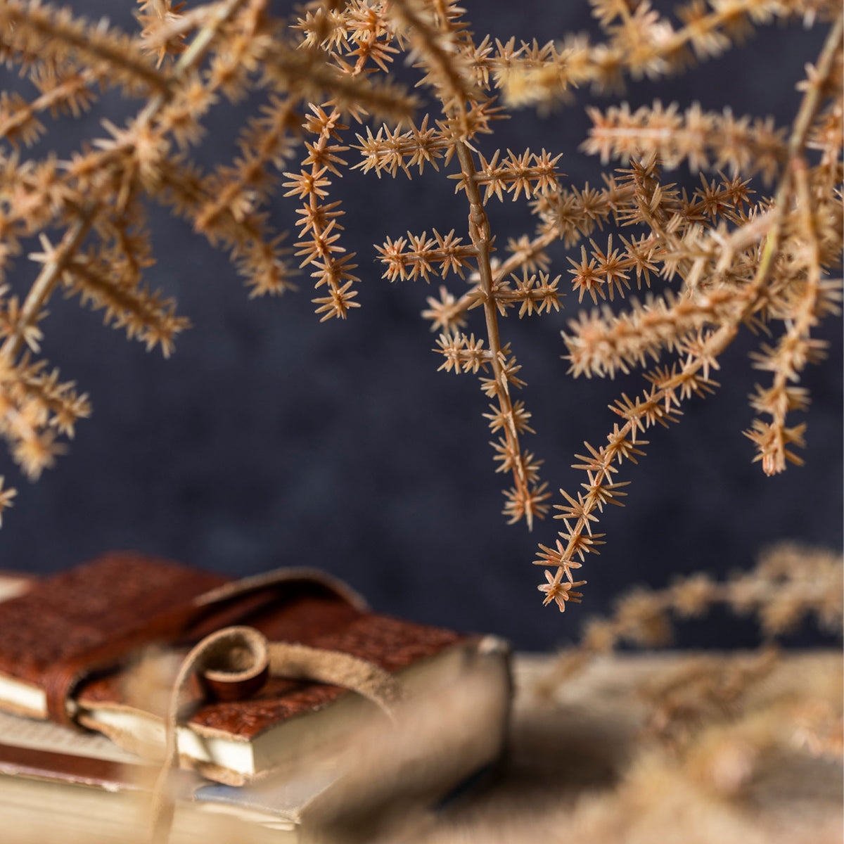 Artificial Asparagus Fern, Desert