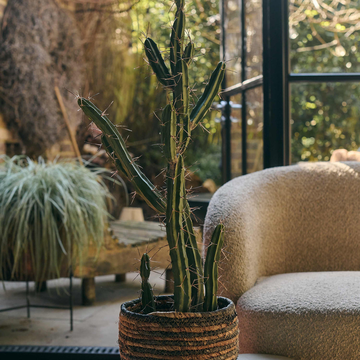 Artificial Cactus