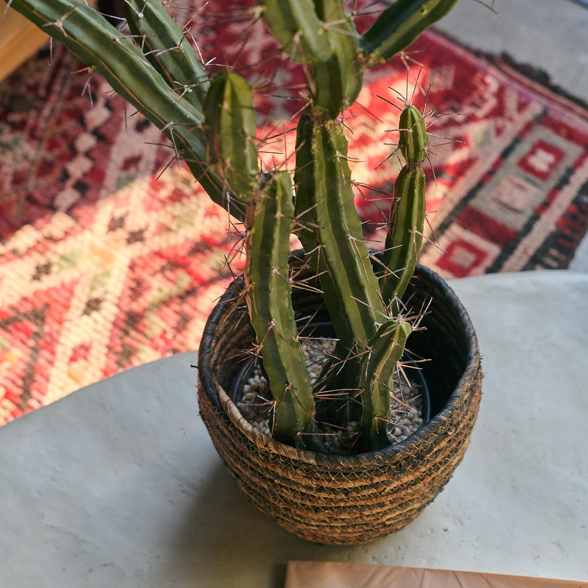 Artificial Cactus